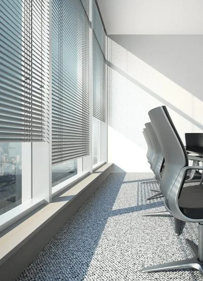 Vision glass and blinds